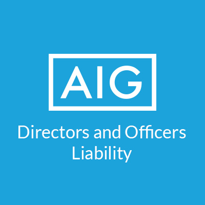 AIG Directors and Officers Liability