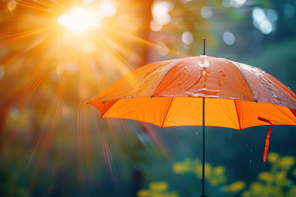 Excess and Surplus Liability